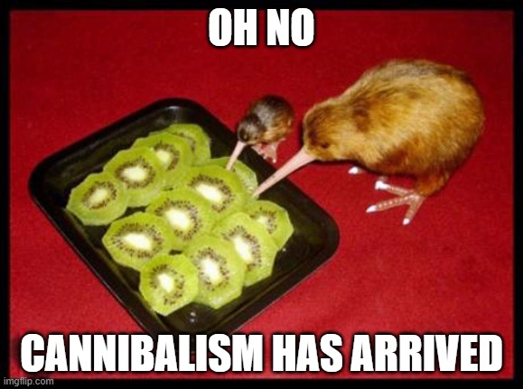 kiwicannibalism | OH NO; CANNIBALISM HAS ARRIVED | image tagged in kiwicannibalism | made w/ Imgflip meme maker