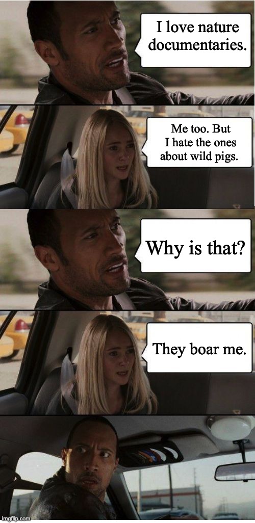 The Rock Conversation | I love nature documentaries. Me too. But I hate the ones about wild pigs. Why is that? They boar me. | image tagged in the rock conversation,puns,pigs,documentary | made w/ Imgflip meme maker