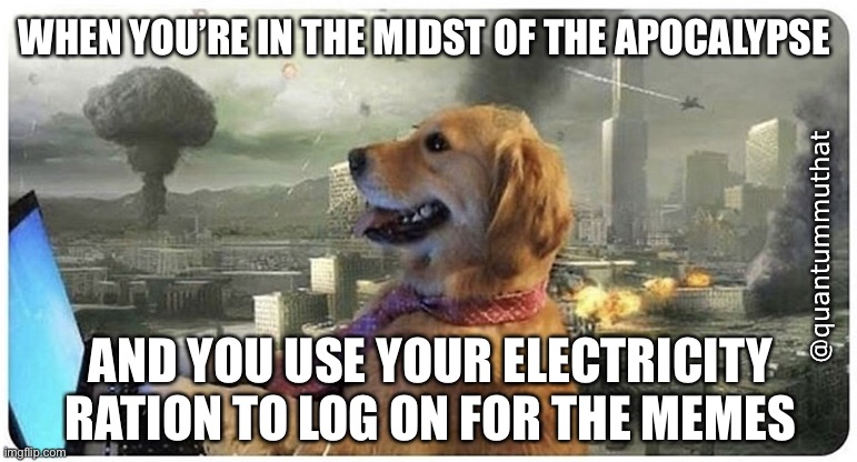 Disaster Dog | WHEN YOU’RE IN THE MIDST OF THE APOCALYPSE; @quantummuthat; AND YOU USE YOUR ELECTRICITY RATION TO LOG ON FOR THE MEMES | image tagged in disaster dog | made w/ Imgflip meme maker