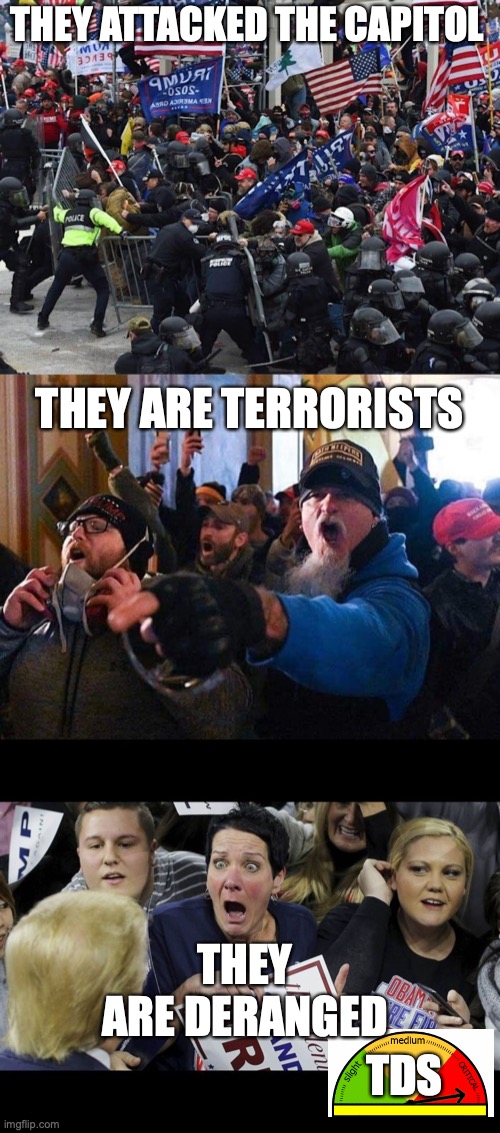 THEY ATTACKED THE CAPITOL; THEY ARE TERRORISTS; THEY ARE DERANGED; TDS | image tagged in cop-killer maga right wing capitol riot january 6th,capitol traitors,trump fan in shock | made w/ Imgflip meme maker