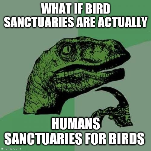 Philosoraptor Meme | WHAT IF BIRD SANCTUARIES ARE ACTUALLY; HUMANS SANCTUARIES FOR BIRDS | image tagged in memes,philosoraptor | made w/ Imgflip meme maker