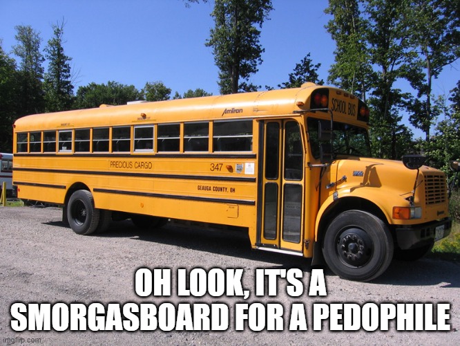 So Many Options | OH LOOK, IT'S A SMORGASBOARD FOR A PEDOPHILE | image tagged in school bus | made w/ Imgflip meme maker