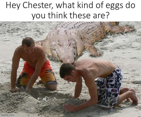 I`m Eggcited ! | image tagged in crocs | made w/ Imgflip meme maker