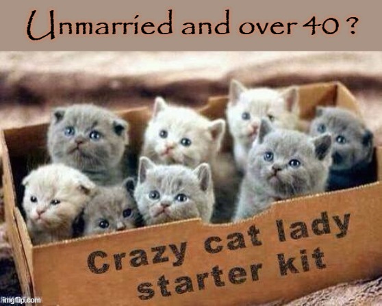 Unmarried ?  Over 40 ? |  Unmarried and over 40 ? | image tagged in crazy cat lady | made w/ Imgflip meme maker