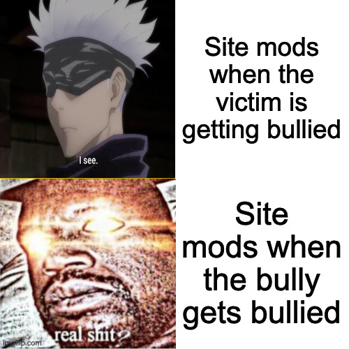 I know why site mods are like that, it's because they're teachers irl | Site mods when the victim is getting bullied; Site mods when the bully gets bullied | image tagged in memes,drake hotline bling | made w/ Imgflip meme maker