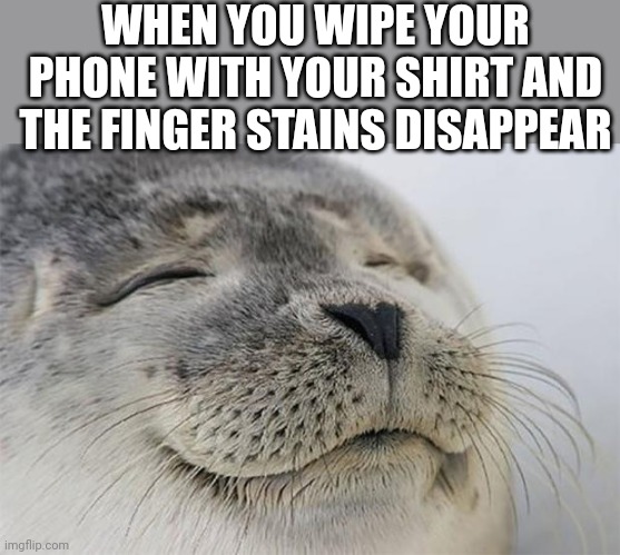 Satisfied Seal | WHEN YOU WIPE YOUR PHONE WITH YOUR SHIRT AND THE FINGER STAINS DISAPPEAR | image tagged in memes,satisfied seal | made w/ Imgflip meme maker