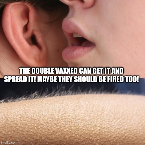 The double vaxxed are the super spreaders! | THE DOUBLE VAXXED CAN GET IT AND SPREAD IT! MAYBE THEY SHOULD BE FIRED TOO! | image tagged in whisper and goosebumps | made w/ Imgflip meme maker