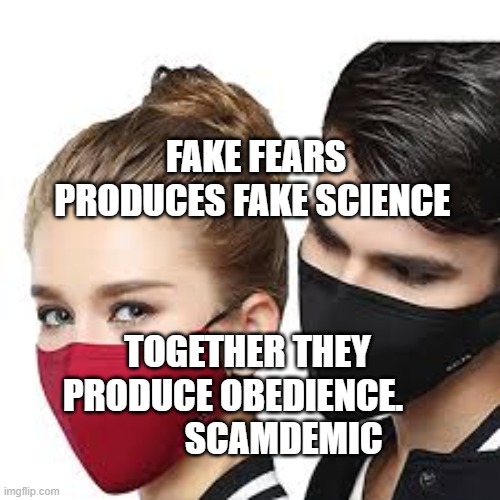 Mask Couple | FAKE FEARS PRODUCES FAKE SCIENCE; TOGETHER THEY PRODUCE OBEDIENCE.                 SCAMDEMIC | image tagged in mask couple | made w/ Imgflip meme maker