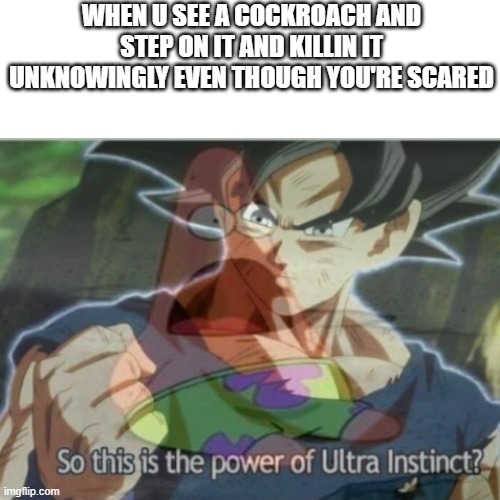 ultra instinct activated (actually I'm scared ;-; ) |  WHEN U SEE A COCKROACH AND STEP ON IT AND KILLIN IT UNKNOWINGLY EVEN THOUGH YOU'RE SCARED | image tagged in so this is the power of ultra instinct,funny,memes,cockroaches | made w/ Imgflip meme maker