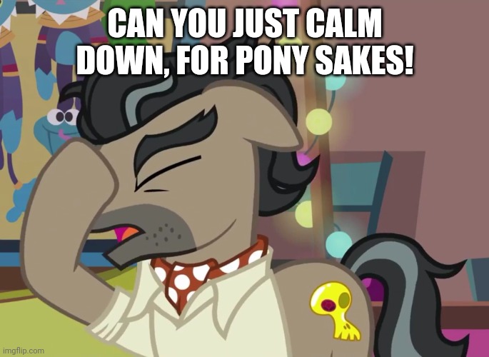 CAN YOU JUST CALM DOWN, FOR PONY SAKES! | made w/ Imgflip meme maker