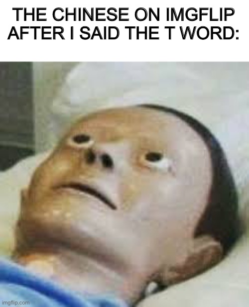 Traumatized mannequin | THE CHINESE ON IMGFLIP AFTER I SAID THE T WORD: | image tagged in traumatized mannequin | made w/ Imgflip meme maker