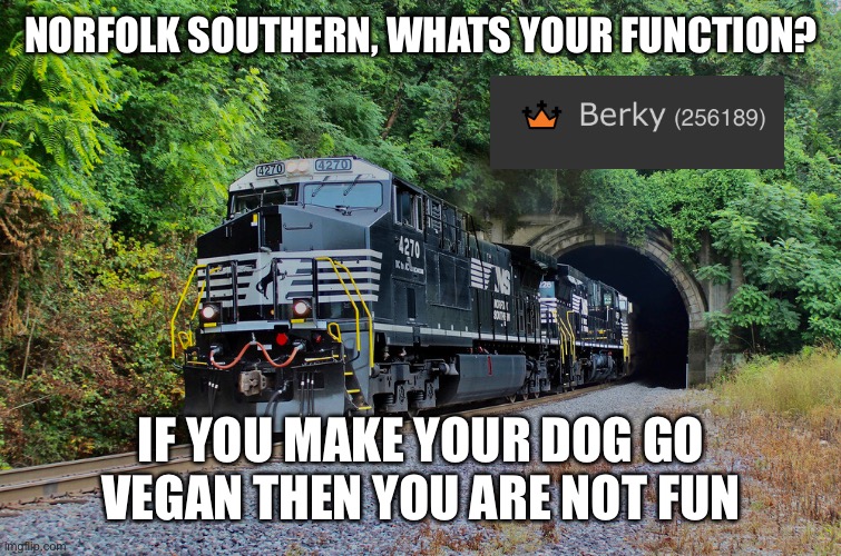 norfolk southern what's your function? | NORFOLK SOUTHERN, WHATS YOUR FUNCTION? IF YOU MAKE YOUR DOG GO VEGAN THEN YOU ARE NOT FUN | image tagged in vegan,dogs,vegans | made w/ Imgflip meme maker