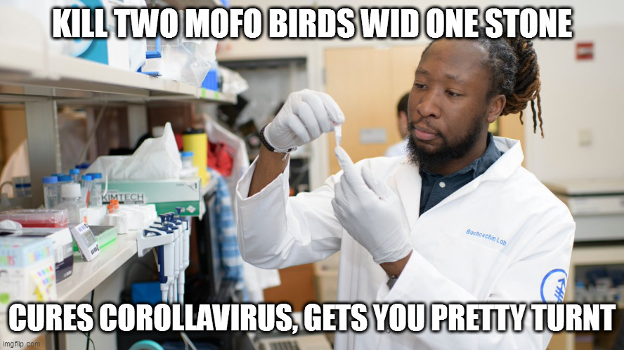 follow dat science | KILL TWO MOFO BIRDS WID ONE STONE; CURES COROLLAVIRUS, GETS YOU PRETTY TURNT | image tagged in covid,vax,cure,irrational fear of death,race iq differences,lab coats | made w/ Imgflip meme maker