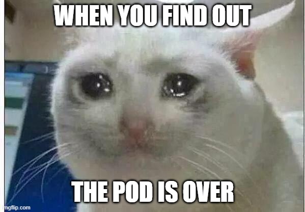 crying cat | WHEN YOU FIND OUT; THE POD IS OVER | image tagged in crying cat | made w/ Imgflip meme maker