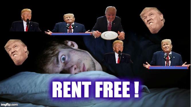 Extreme TDS | RENT FREE ! | image tagged in extreme tds | made w/ Imgflip meme maker