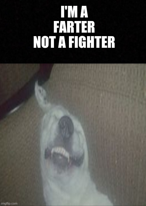 I'M A FARTER
NOT A FIGHTER | image tagged in buddy the wonder dog,funny,farter,cute dog | made w/ Imgflip meme maker