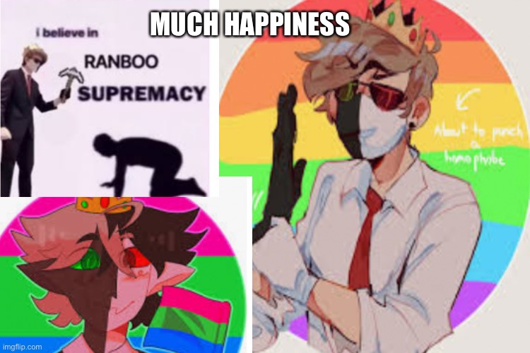 Ranboo is best supporter | MUCH HAPPINESS | image tagged in dream smp,lgbtq,homophobic,i believe in supremacy,ranboo | made w/ Imgflip meme maker