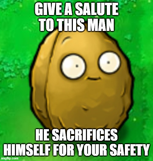 a salute to wall-nut |  GIVE A SALUTE TO THIS MAN; HE SACRIFICES HIMSELF FOR YOUR SAFETY | image tagged in wall-nut | made w/ Imgflip meme maker