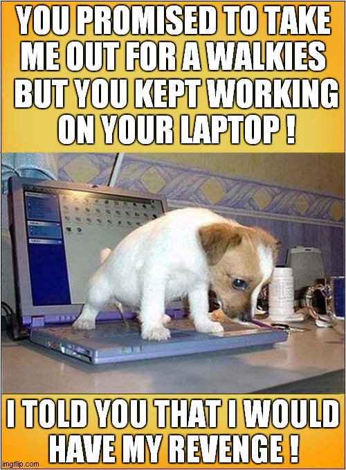 What's That Fizzing Sound ? |  YOU PROMISED TO TAKE
ME OUT FOR A WALKIES; BUT YOU KEPT WORKING
ON YOUR LAPTOP ! I TOLD YOU THAT I WOULD
HAVE MY REVENGE ! | image tagged in fun,dogs,computers,laptop,urinating | made w/ Imgflip meme maker