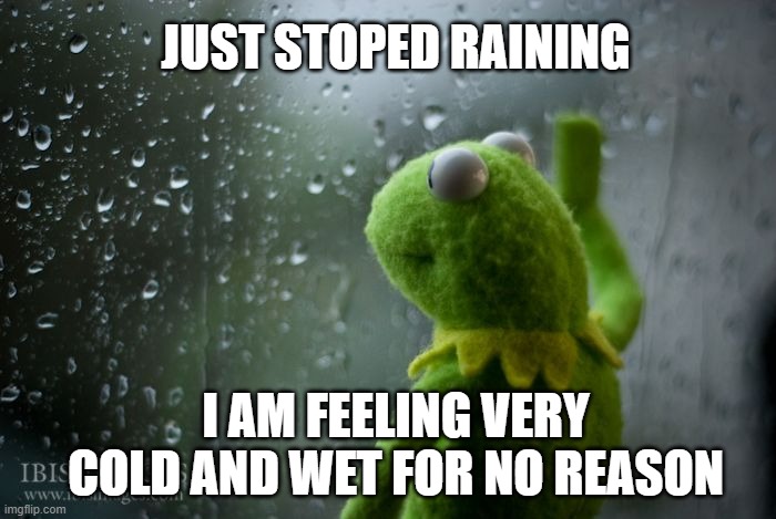 it just stopped rainin but | JUST STOPED RAINING; I AM FEELING VERY COLD AND WET FOR NO REASON | image tagged in kermit window,memes | made w/ Imgflip meme maker