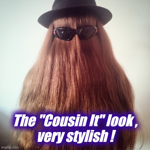 cousin it | The "Cousin It" look ,
very stylish ! | image tagged in cousin it | made w/ Imgflip meme maker