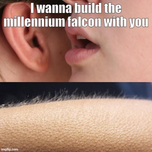 What guys want | I wanna build the millennium falcon with you | image tagged in whisper and goosebumps | made w/ Imgflip meme maker