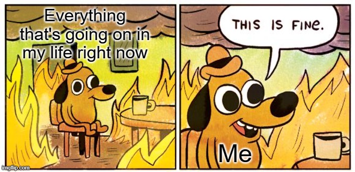 This Is Fine | Everything that's going on in my life right now; Me | image tagged in memes,this is fine | made w/ Imgflip meme maker