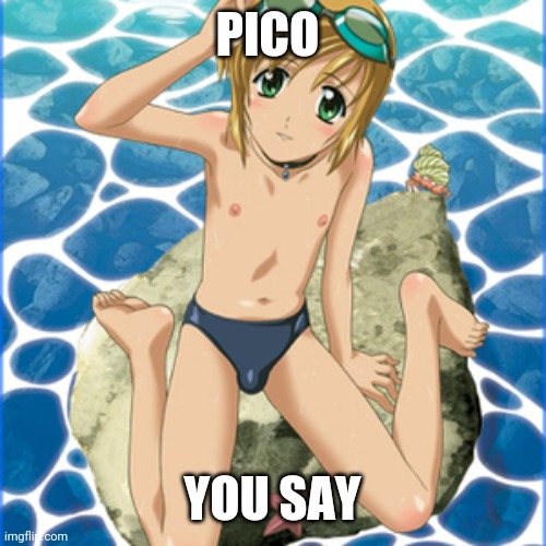 boku no pico | PICO YOU SAY | image tagged in boku no pico | made w/ Imgflip meme maker