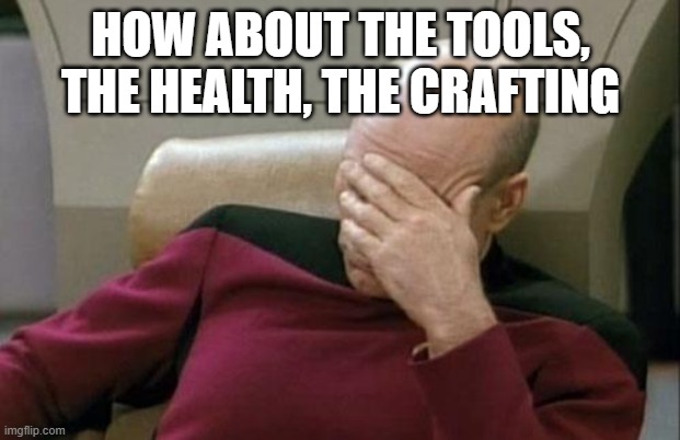 Captain Picard Facepalm Meme | HOW ABOUT THE TOOLS, THE HEALTH, THE CRAFTING | image tagged in memes,captain picard facepalm | made w/ Imgflip meme maker