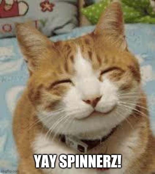 Happy cat | YAY SPINNERZ! | image tagged in happy cat | made w/ Imgflip meme maker