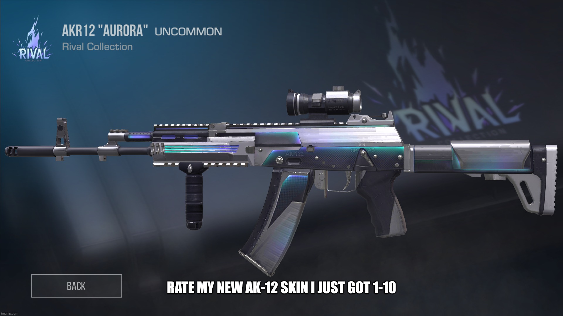 RATE MY NEW AK-12 SKIN I JUST GOT 1-10 | made w/ Imgflip meme maker