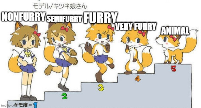 NONFURRY SEMIFURRY FURRY VERY FURRY ANIMAL | made w/ Imgflip meme maker
