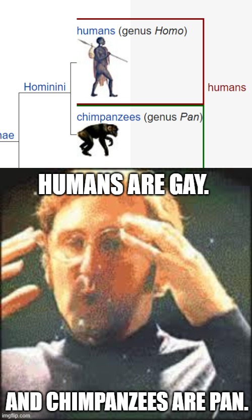 LMAO, It's in the genes! | HUMANS ARE GAY. AND CHIMPANZEES ARE PAN. | image tagged in mind blown,primates,memes,lgbtq,funny,monke | made w/ Imgflip meme maker