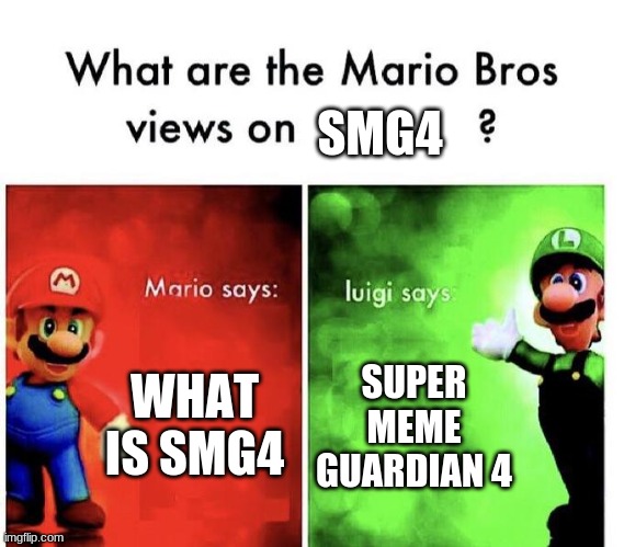 -_-_-_---__-----___--_-__---_-- | SMG4; WHAT IS SMG4; SUPER MEME GUARDIAN 4 | image tagged in mario bros views | made w/ Imgflip meme maker