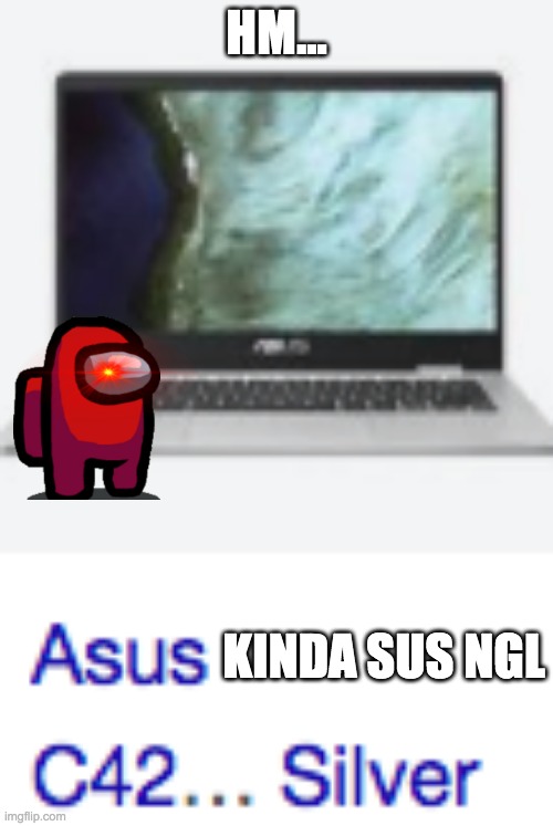 Sus chromebooks be like | HM... KINDA SUS NGL | image tagged in sus,chromebook,among us | made w/ Imgflip meme maker