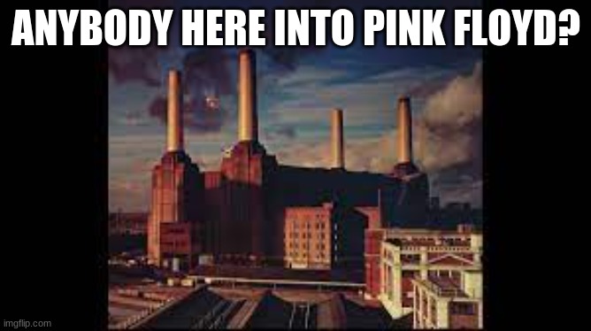 Pink Floyd | ANYBODY HERE INTO PINK FLOYD? | image tagged in pink floyd | made w/ Imgflip meme maker