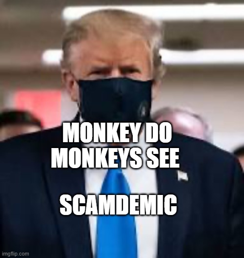 Trump Mask | MONKEY DO  MONKEYS SEE; SCAMDEMIC | image tagged in trump mask | made w/ Imgflip meme maker