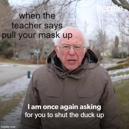 Bernie I Am Once Again Asking For Your Support | when the teacher says pull your mask up; for you to shut the duck up | image tagged in memes,bernie i am once again asking for your support | made w/ Imgflip meme maker