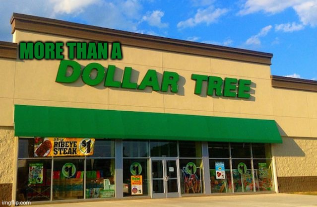 Dollar Tree | MORE THAN A | image tagged in dollar tree | made w/ Imgflip meme maker