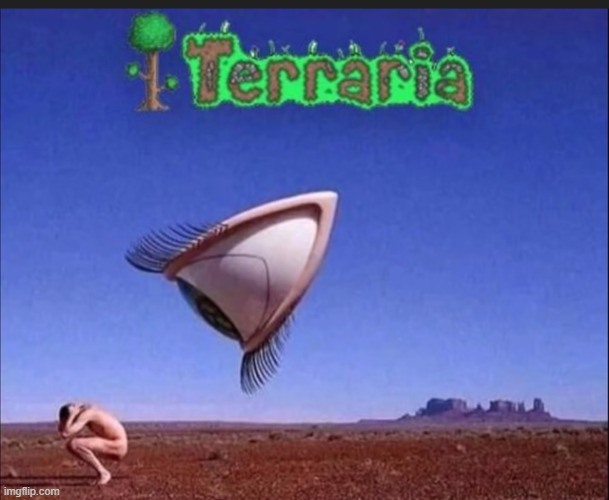 terraria | made w/ Imgflip meme maker
