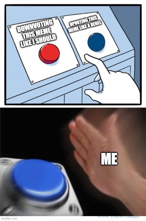 two buttons 1 blue | DOWNVOTING THIS MEME LIKE I SHOULD UPVOTING THIS MEME LIKE A REBEL ME | image tagged in two buttons 1 blue | made w/ Imgflip meme maker