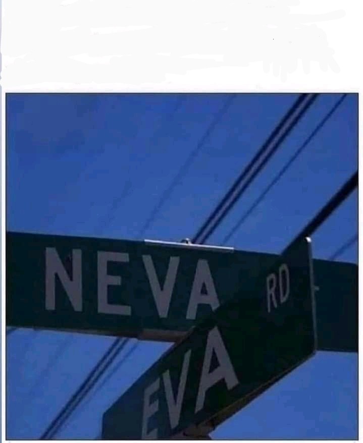 High Quality Neva Eva Blank Meme Template