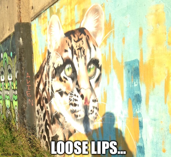 Spaceships |  LOOSE LIPS... | image tagged in england,street art,war machine,wwii,canal,man of steel | made w/ Imgflip meme maker