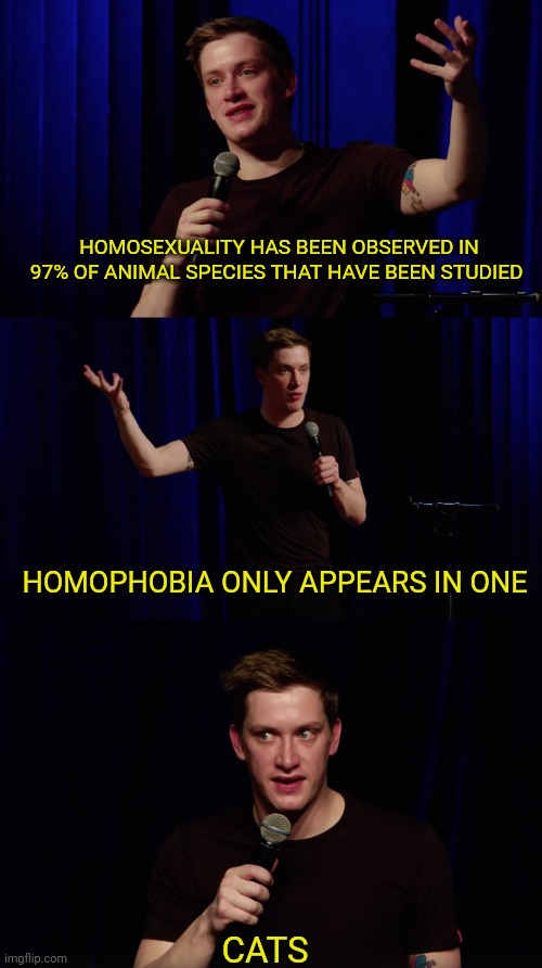 Daniel Sloss joke that kind of feels true | HOMOSEXUALITY HAS BEEN OBSERVED IN 97% OF ANIMAL SPECIES THAT HAVE BEEN STUDIED; HOMOPHOBIA ONLY APPEARS IN ONE; CATS | image tagged in lgbtq,homosexuality,homophobia | made w/ Imgflip meme maker