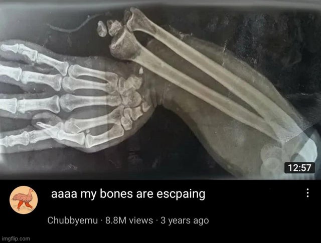 they're coming out to celebrate spooktober | made w/ Imgflip meme maker