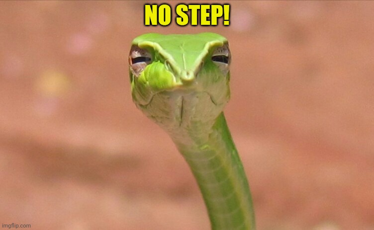 Suspicious Snek | NO STEP! | image tagged in suspicious snek | made w/ Imgflip meme maker