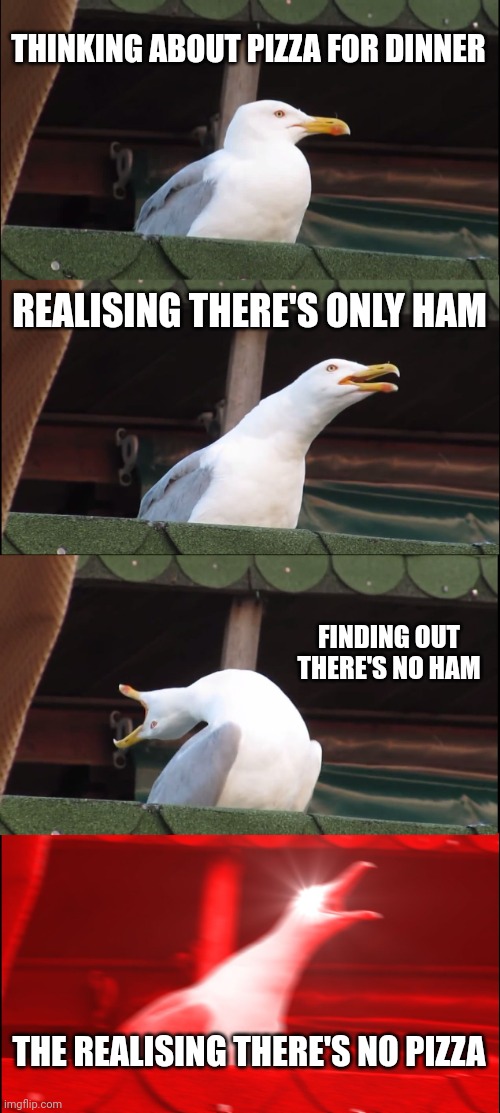 Inhaling Seagull | THINKING ABOUT PIZZA FOR DINNER; REALISING THERE'S ONLY HAM; FINDING OUT THERE'S NO HAM; THE REALISING THERE'S NO PIZZA | image tagged in memes,inhaling seagull | made w/ Imgflip meme maker