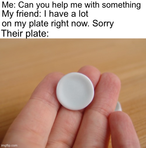Small plate | Me: Can you help me with something; My friend: I have a lot on my plate right now. Sorry; Their plate: | image tagged in bruh,funny,memes,small plate | made w/ Imgflip meme maker