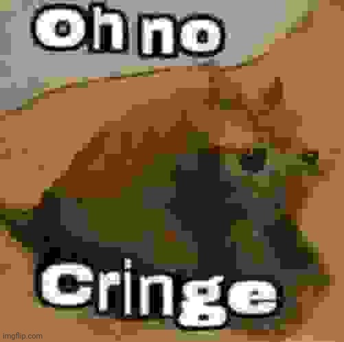 oH nO cRInGe | image tagged in oh no cringe | made w/ Imgflip meme maker