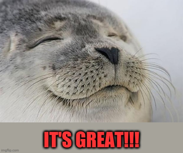 Satisfied Seal Meme | IT'S GREAT!!! | image tagged in memes,satisfied seal | made w/ Imgflip meme maker